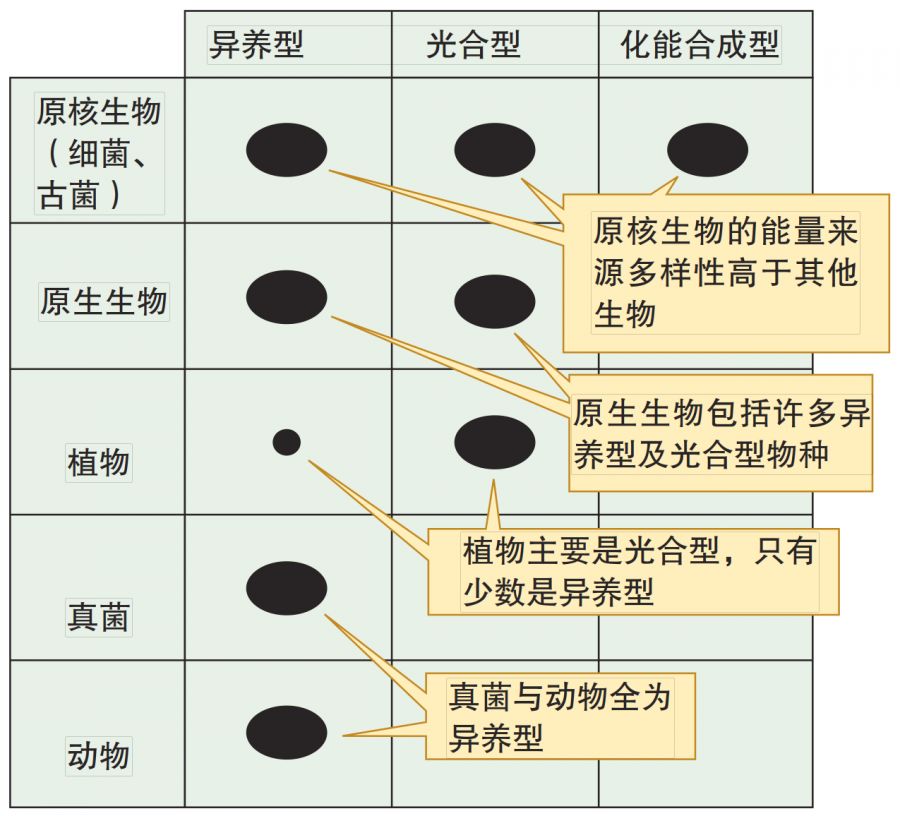 微信图片_20200106215004.jpg