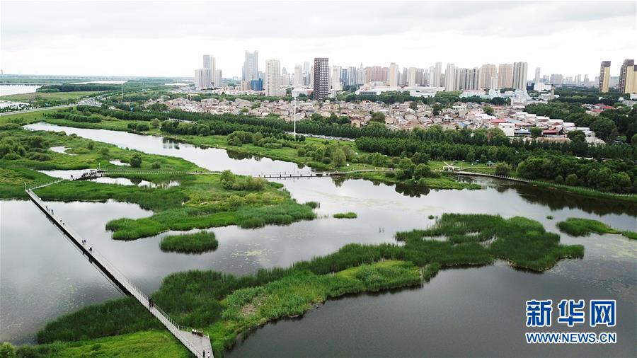（走向我们的小康生活·图文互动）（2）水清、地绿、空气新——最北省份黑龙江绘就生态治理新画卷