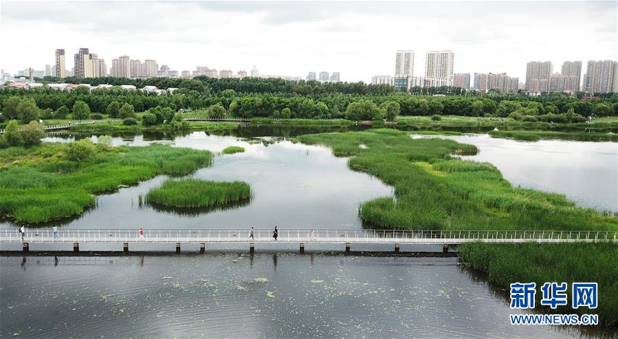 （走向我们的小康生活·图文互动）（1）水清、地绿、空气新——最北省份黑龙江绘就生态治理新画卷