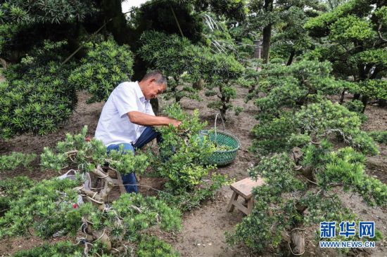 （走向我们的小康生活·图文互动）（3）水清岸美产业兴——江苏南通小康路上的绿色实践