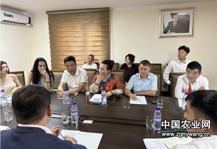 微信截图_20250710160050.png