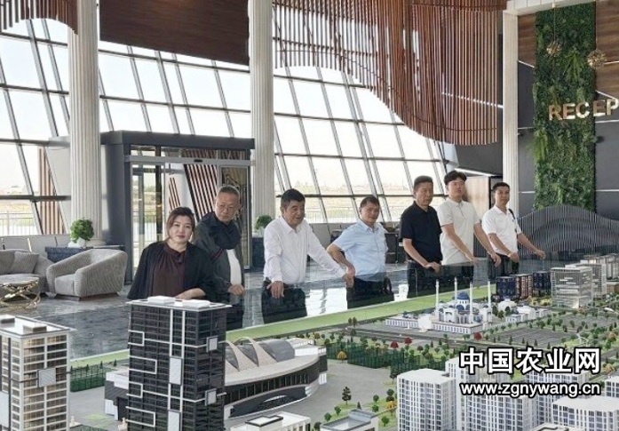 微信截图_20250710160110.png